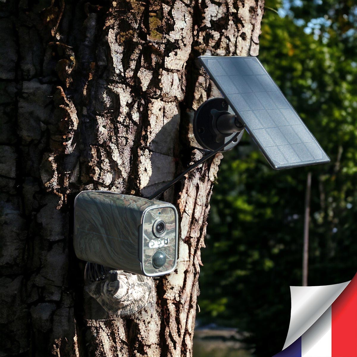 Caméra camouflage solaire WiFi 2K vision nocturne invisible ultra longue autonomie détection de mouvement et humaine 128Go