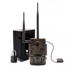 Caméra de chasse Ultra HD 4K IR invisible GPS GSM 4G envoi photo et vidéo sur application iOS et Android serveur cloud e-mail et FTP avec box anti-vandale