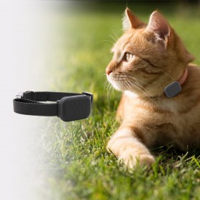 Collier traceur IOS temps reel sans abonnement pour chat et petit chien