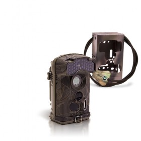 Dernière génération - Caméra de chasse autonome HD 1080P IR invisible avec box anti-vandale