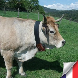 Collier GPS 4G vache cheval ultra longue autonomie 4 ans accès serveur et carte SIM incluse pochette cuir et collier