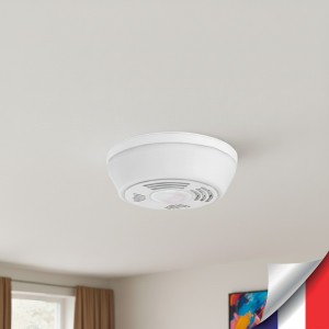 Caméra cachée UHD 2K dans détecteur de fumée factice Détection de mouvement mémoire microSD 128 Go