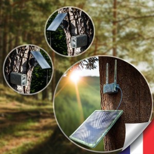 Kit vidéosurveillance camouflage 3G 4G autonome avec 2 caméras ultra longue autonomie solaires WIFI UHD 2K 4MP détection humaine accès à distance via iOS Android 128Go