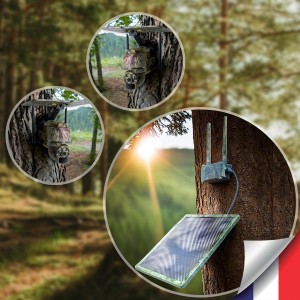 Kit vidéosurveillance camouflage 3G 4G autonome avec 2 caméras pilotables solaires WIFI UHD 2K 5MP détection humaine accès à distance via iOS Android 128Go