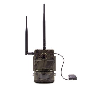 Caméra de chasse 4G Ultra HD 4K IR invisible GPS alerte push envoi photo et vidéo sur application iOS et Android serveur cloud e-mail