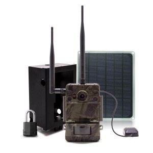 Caméra de chasse 4G Ultra HD 4K IR invisible GPS alerte push envoi photo et vidéo sur application iOS et Android serveur cloud e-mail et FTP avec box anti-vandale et panneau solaire