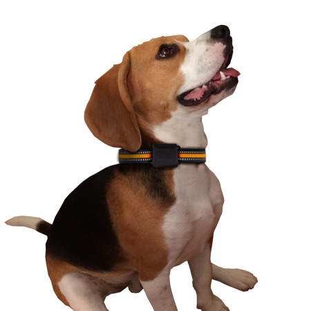 Collier traceur GPS temps réel sans abonnement pour animaux