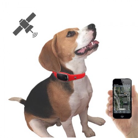 Collier traceur GPS temps réel sans abonnement pour animaux