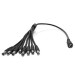 Cordon pour octuplication d'alimentation 12 Volts